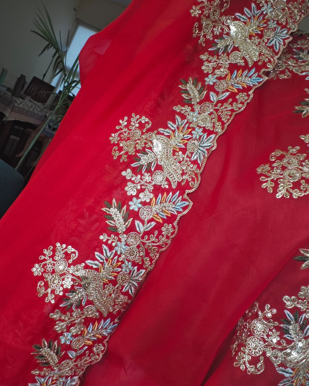 Saree Jimmy Choo